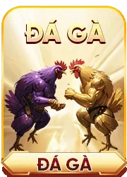đá gà vsbet